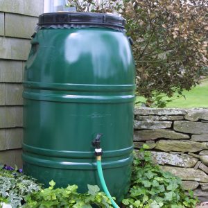 Great American Rain Barrel - Forest Green