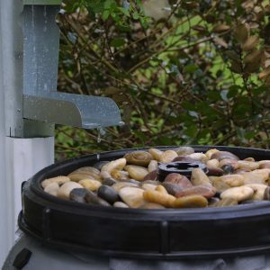 Polished River Stones