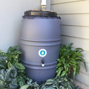 Unpainted Rain Barrel – Matte Gray