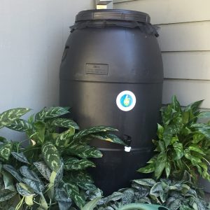 Unpainted Rain Barrel  – Black